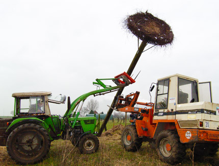 Foto: Errichtung eines Storchenrads