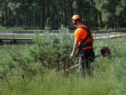 Arbeiten mit Motirsense
